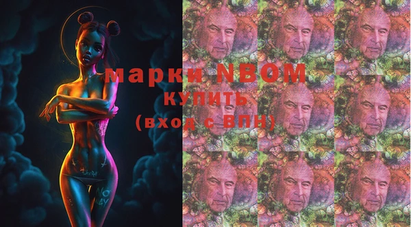 ГАЛЛЮЦИНОГЕННЫЕ ГРИБЫ Алексин