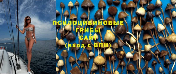 ГАЛЛЮЦИНОГЕННЫЕ ГРИБЫ Алексин
