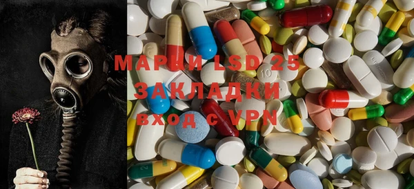 ГАЛЛЮЦИНОГЕННЫЕ ГРИБЫ Алексин
